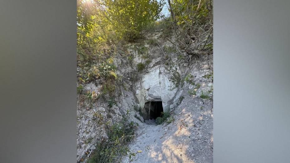 Четыре особо охраняемые природные территории появятся в Воронежской области