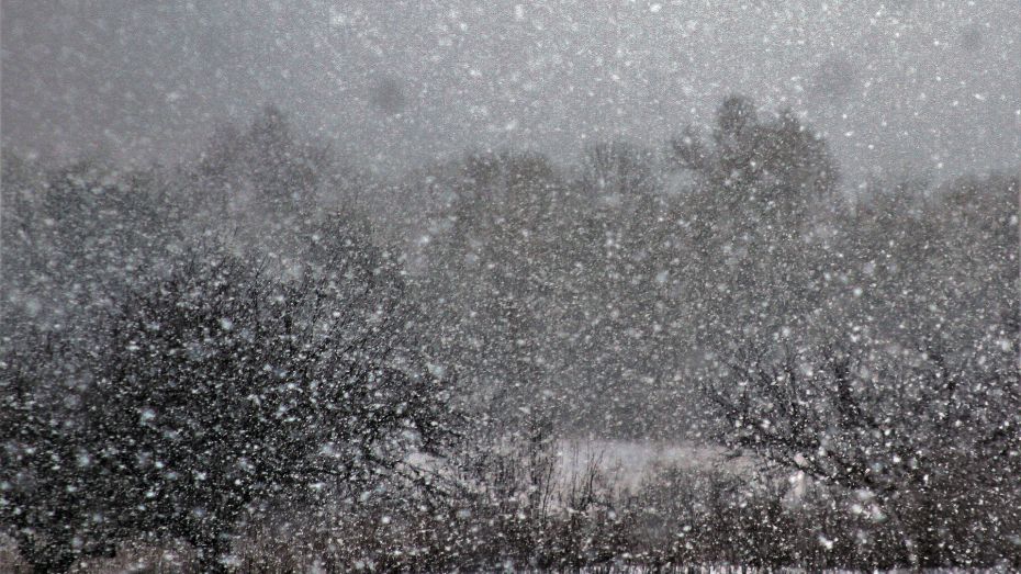 Главный метеоролог региона рассказал, когда закончится снег в Воронеже