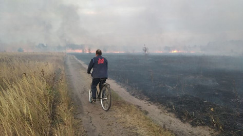 В 2021 году количество пожаров в Воронежской области снизилось на 30%