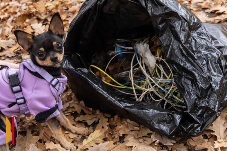 Субботник МВП и РИА осень