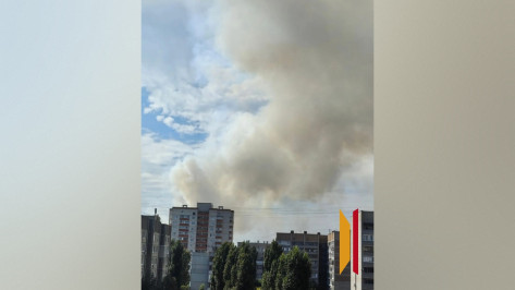 Воронежцы днем 2 сентября сообщили о столбе черного дыма в СНТ «Железнодорожник»