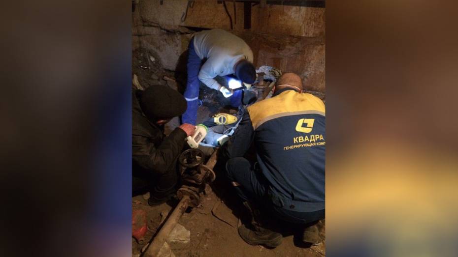 В Воронеже спасли замурованную под плитами теплотрассы кошку