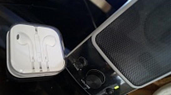 В рейтинге музыкальных вкусов воронежцев лидирует Стас Михайлов