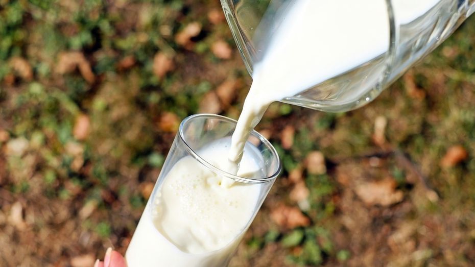 Счетная палата назвала четверть молочных продуктов в России некачественными