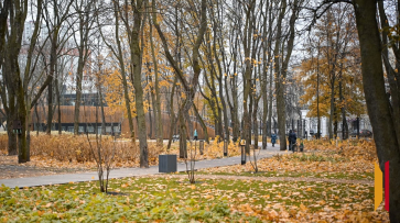 Воронежцев ждет облачная и холодная неделя