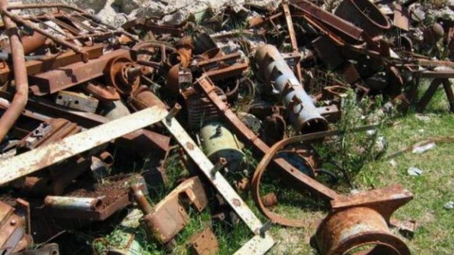 В Ольховатском районе с пастбища сельхозпредприятия похищены металлические столбы