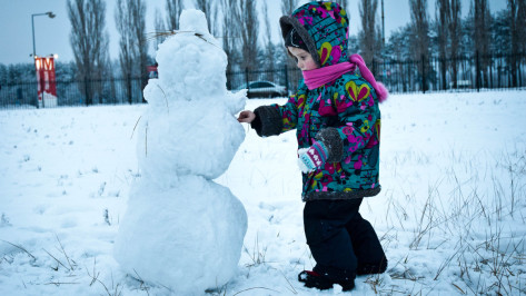 Метеорологи предупредили о мокром снеге в Воронежской области