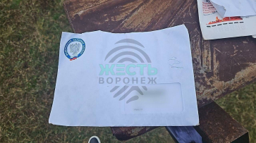 Под Воронежем на земле нашли разбросанные налоговые уведомления и заказные письма