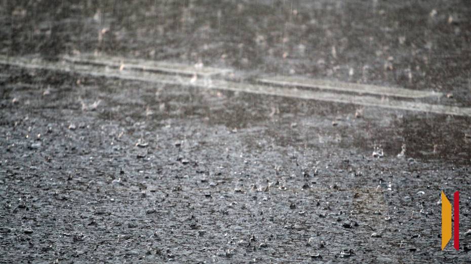 Длинные июньские выходные в Воронеже будут дождливыми