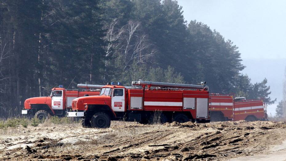 Сильная жара повысила пожарную опасность в Воронежской области