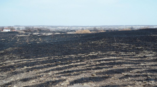 В Бутурлиновском районе за 6 дней произошло 75 ландшафтных пожаров