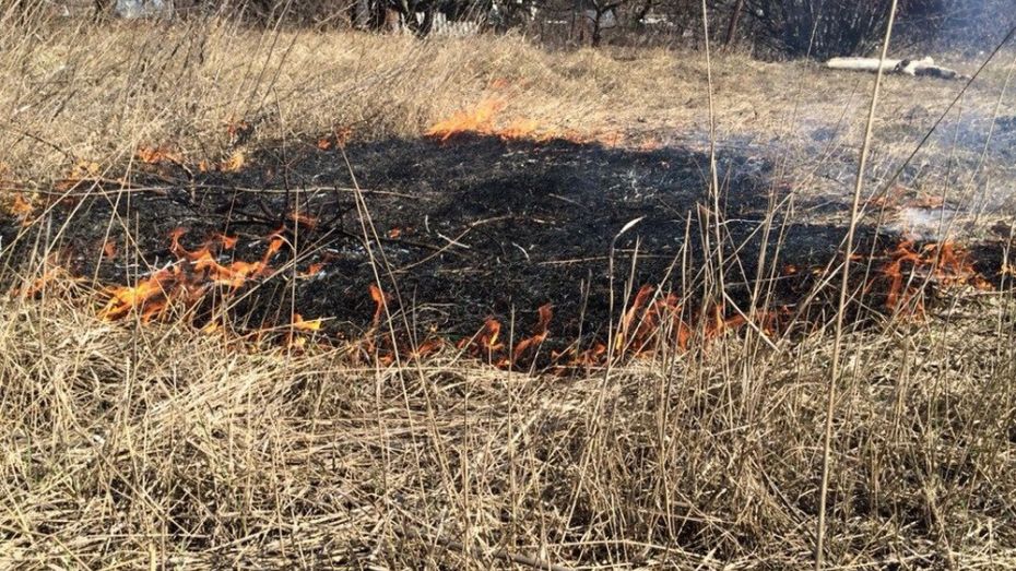 В Кантемировском районе начались ландшафтные пожары