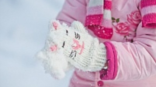 Воронежцев ждет мягкая зимняя погода