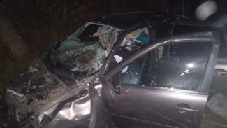 Разбитую «Ладу» с мертвым белгородцем за рулем обнаружили в Воронежской области