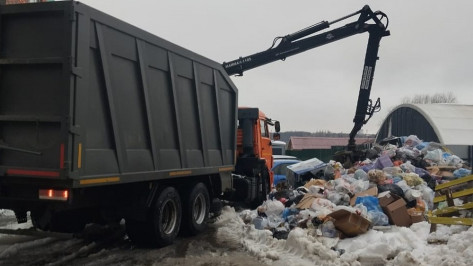 Воронежцам рассказали, когда уберут горы мусора возле баков