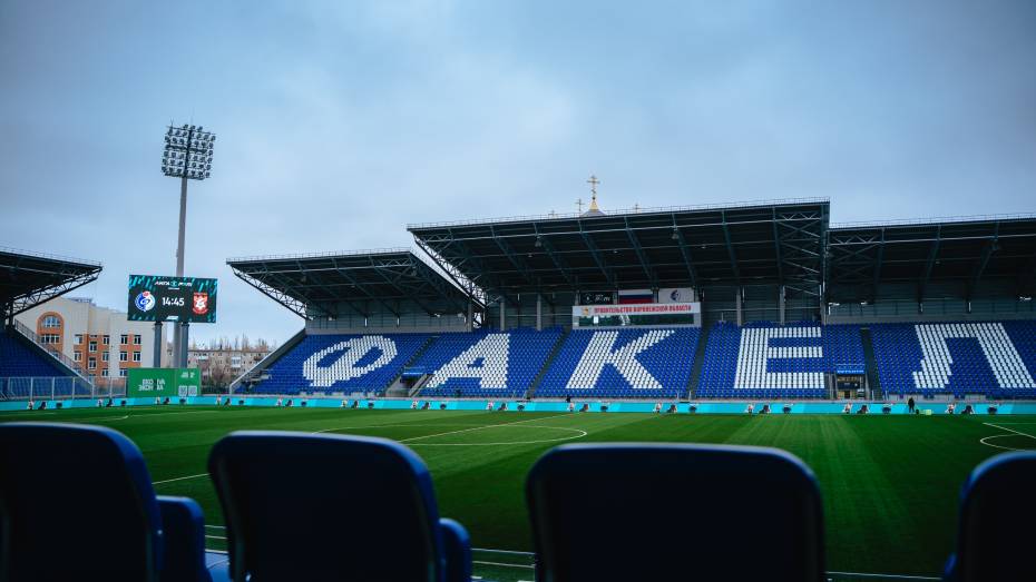 Воронежский ФК «Факел» может стать акционерным обществом