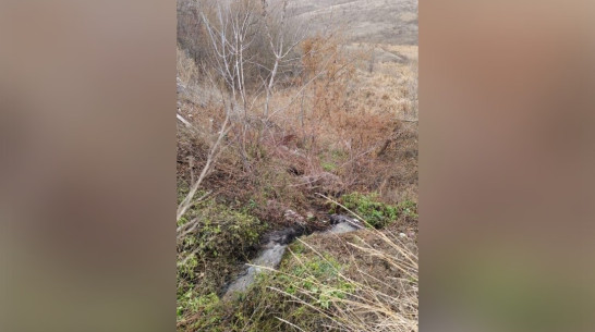 Ущерб почве от очистных сооружений под Воронежем оценили в 7,5 млн рублей