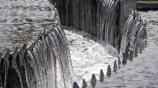 Портившие воздух в Воронеже Левобережные очистные сооружения сменят собственника