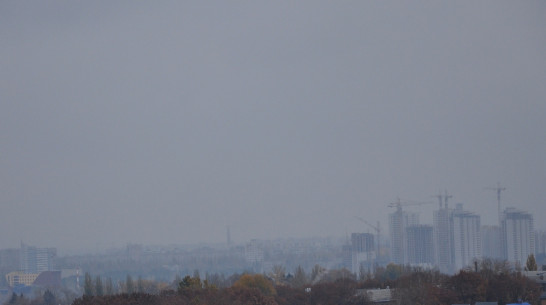 В Воронеже пошел первый снег