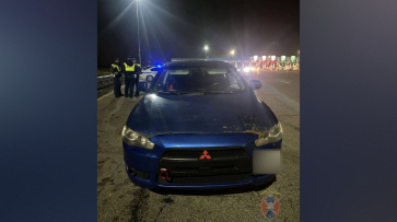 Воронежского автолюбителя задержали за неуплату штрафов на 93 тыс рублей