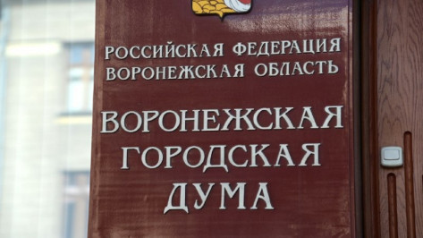 Депутаты гордумы отказали воронежцам в проведении конференции о выборах мэра