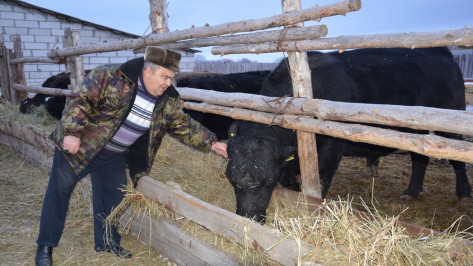 Поворинская семья получила 2,3 млн рублей на развитие животноводческой фермы 