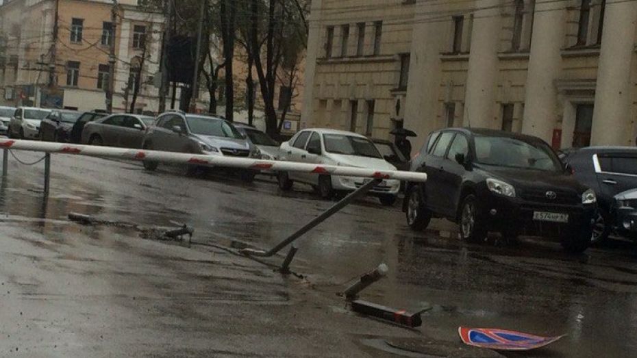 В центре Воронежа автомобилист снес дорожные знаки