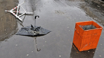 Спасатели предупредили о ливнях и сильном ветре в Воронежской области