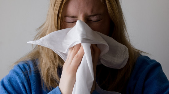 Заболеваемость ОРВИ снизилась в Воронежской области