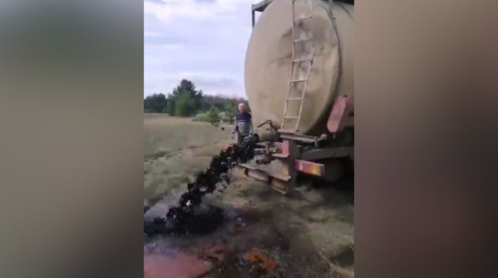 «Черная жижа с запахом яда» нанесла ущерб на 8 млн рублей в Воронежской области