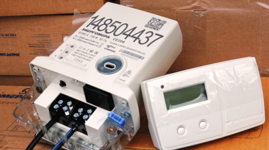 Более 100 тыс «умных» электросчетчиков установят в Воронежcкой области в 2021 году