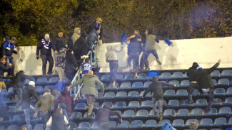 РФС осудил поведение участников драки на матче «Факел» - «Динамо» в Воронеже