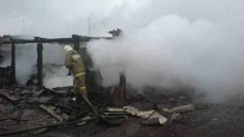 В поселке Латная Семилукского района огонь уничтожил хозяйственные постройки  площадью 150 квадратных метров