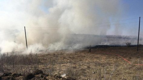 В Воронежской области на месте тушения ландшафтного пожара обнаружили труп 73-летнего мужчины