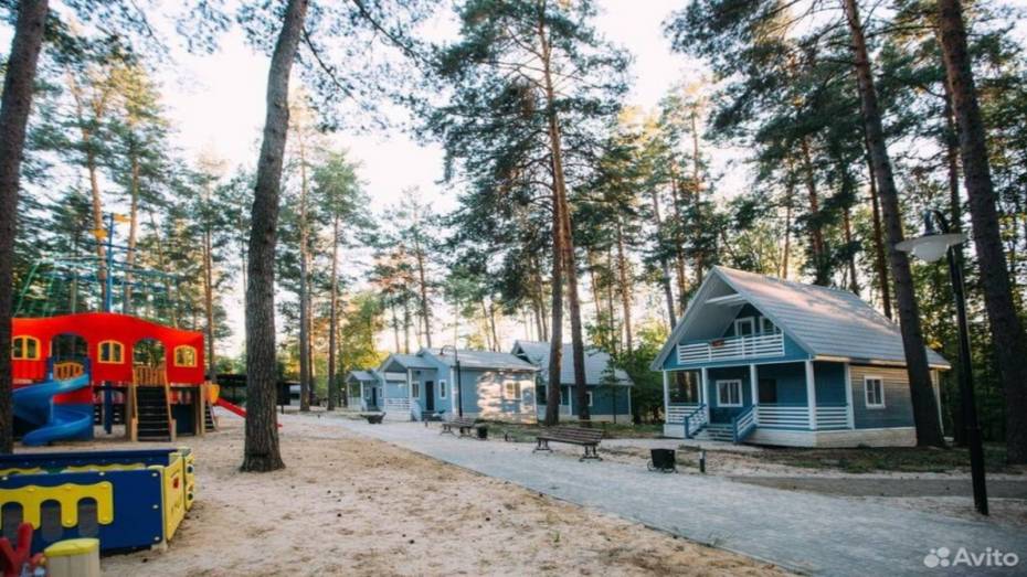 В охранной зоне Воронежского заповедника продают базу отдыха за 180 млн рублей