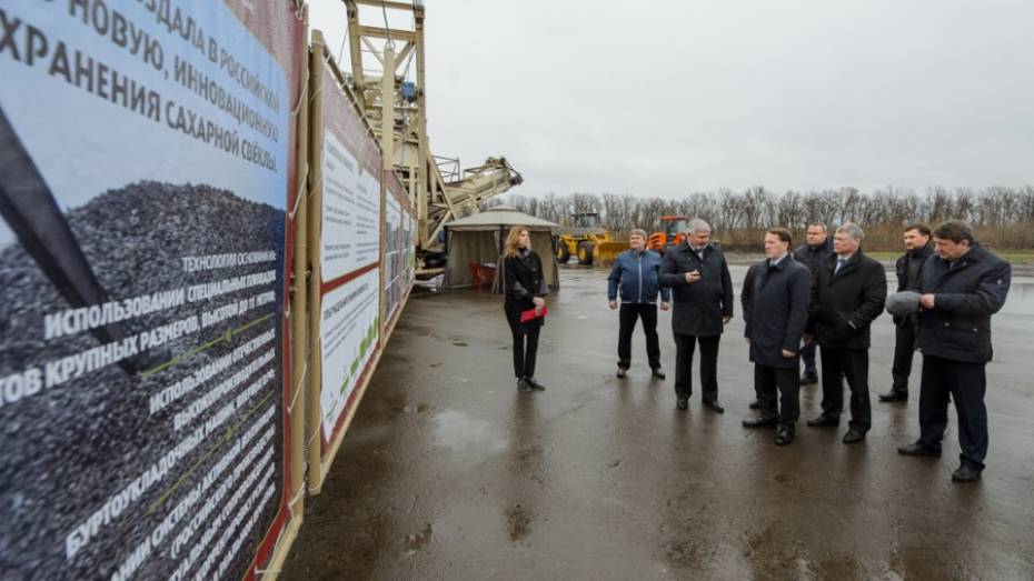 Шестой свеклоприемный пункт откроется в Воронежской области в 2017 году