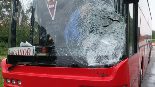 На автодороге М-4 «Дон» в Воронежской области автобус насмерть сбил пешехода