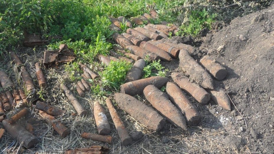 В Рамонском районе уничтожили 189 боеприпасов времен Великой Отечественной войны