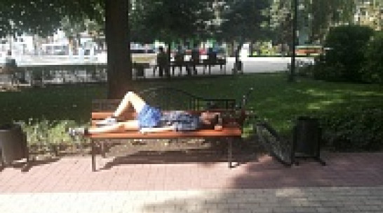 Синоптики пообещали воронежцам аномальную жару на выходных 