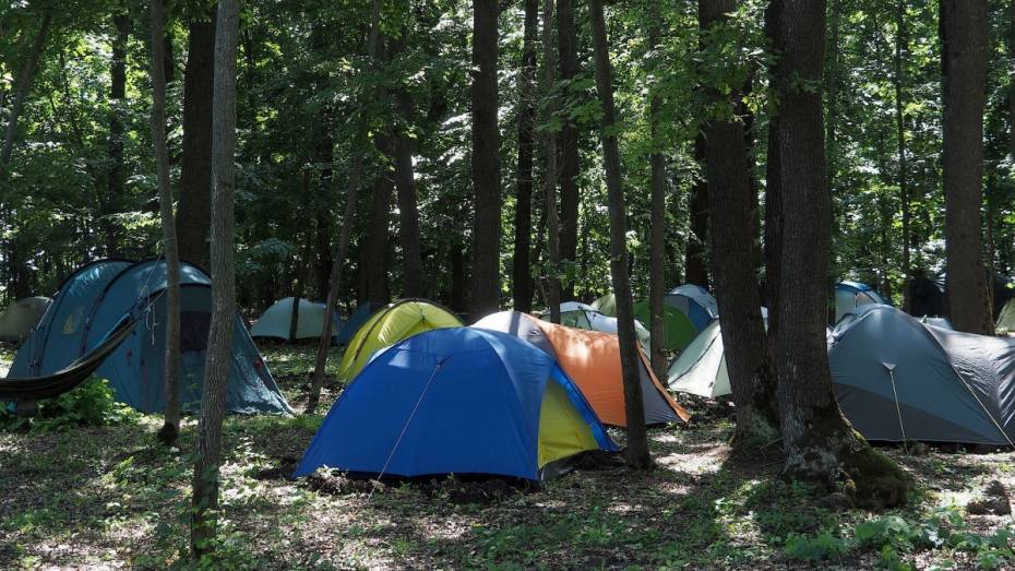 Сбежавшие из воронежского интерната подростки жили в палатке