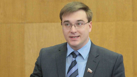 Лидер фракции ЛДПР в Воронежской облдуме поддержал губернаторскую программу занятости
