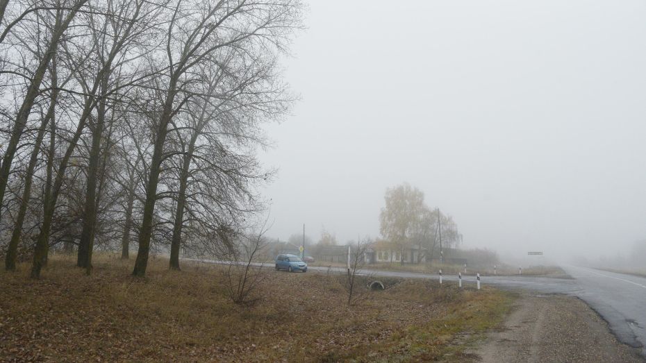 На Воронежскую область надвигаются грозы и туман