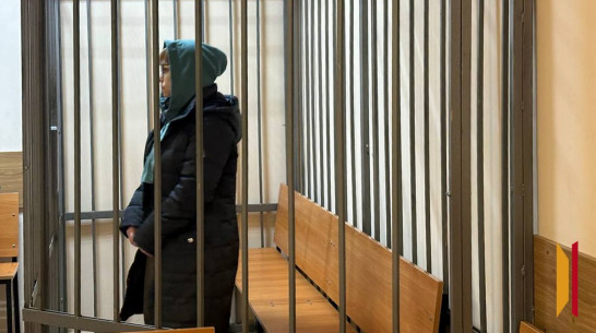 Нагадались до казенного дома: суд определил меру пресечения матери и дочери, обманувшим воронежскую владелицу IT-компании