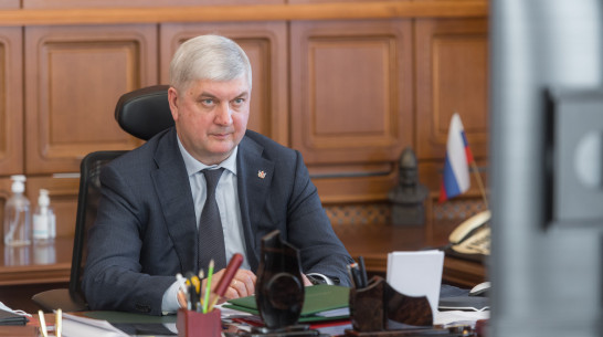 К воронежскому губернатору с важной просьбой обратился Александр Хинштейн