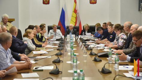 Активное долголетие: в Воронежской облдуме обсудили стратегию поддержки старшего поколения