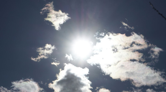 Очередной удивительный погодный рекорд установлен в Воронеже