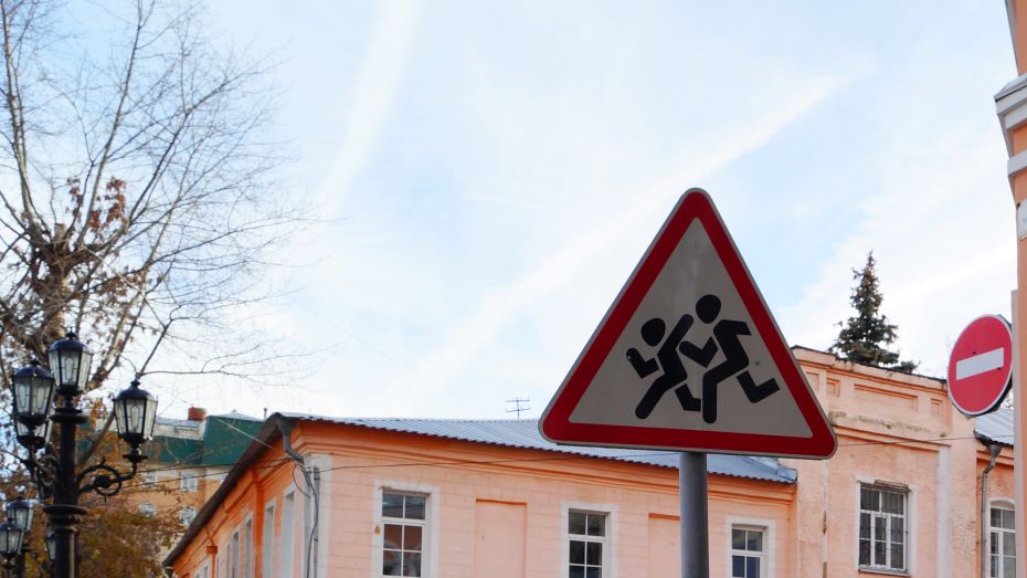 В Воронежской области полицейские поймали 37 пешеходов, нарушивших правила дорожного движения