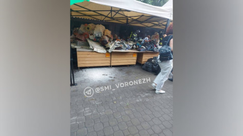 В Воронеже на Северном рынке загорелся торговый павильон