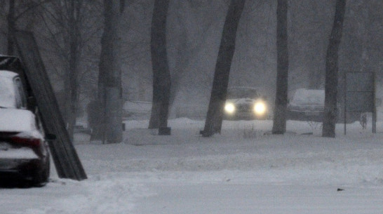 Воронежские спасатели предупредили о сильном ветре