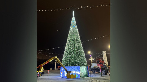 В Воронеже на Адмиралтейской площади установили новогоднюю елку
